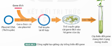 BÀI 48: ỨNG DỤNG CÔNG NGHỆ DI TRUYỀN VÀO ĐỜI SỐNG